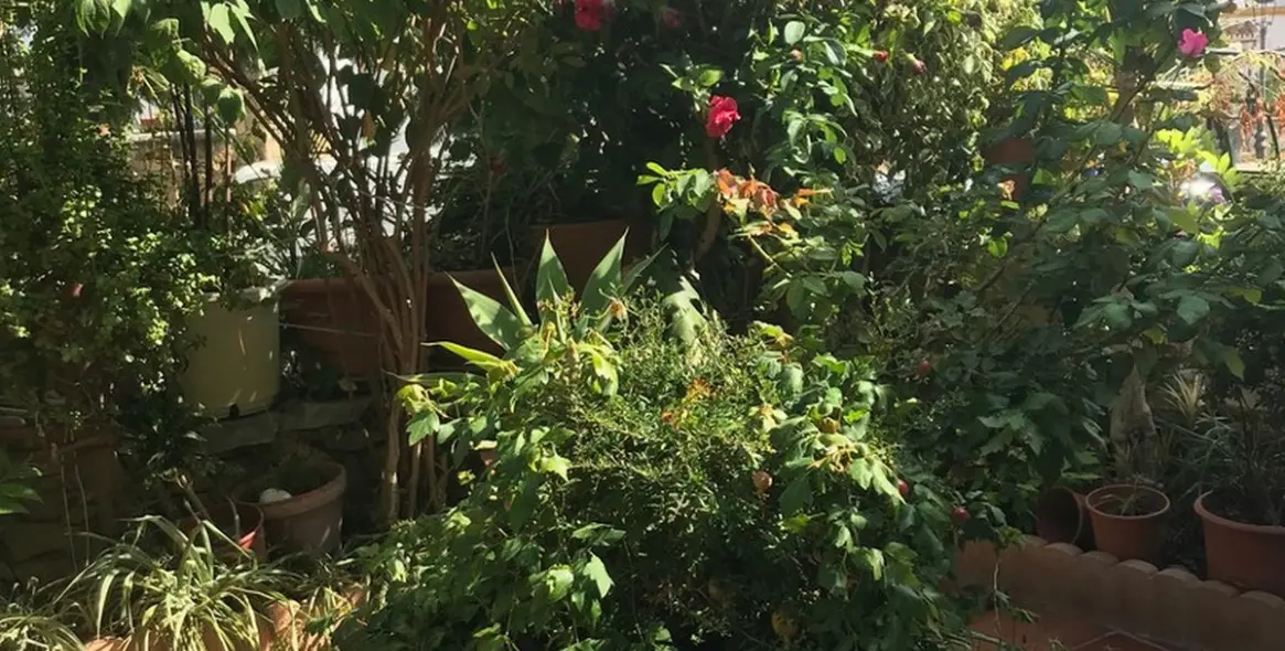 Продажа таунхауса в Estepona 34