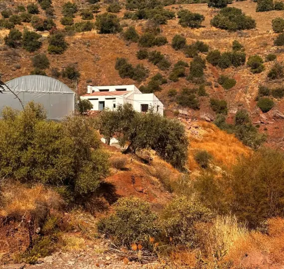 Жилой участок R4742068