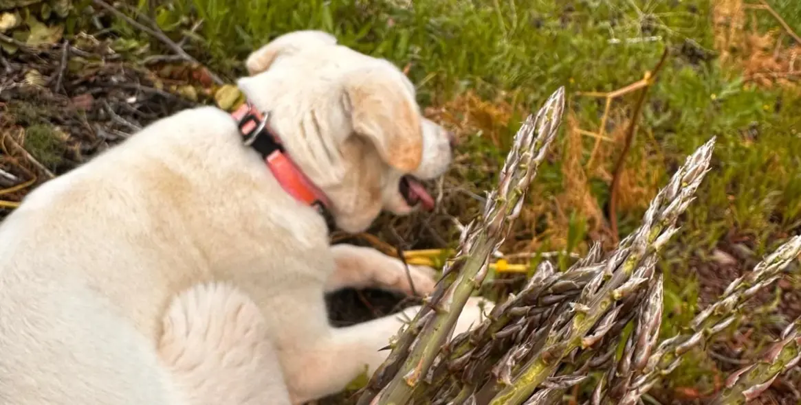 Продажа  жилого участка в Malaga (район Provincia de Málaga) 2