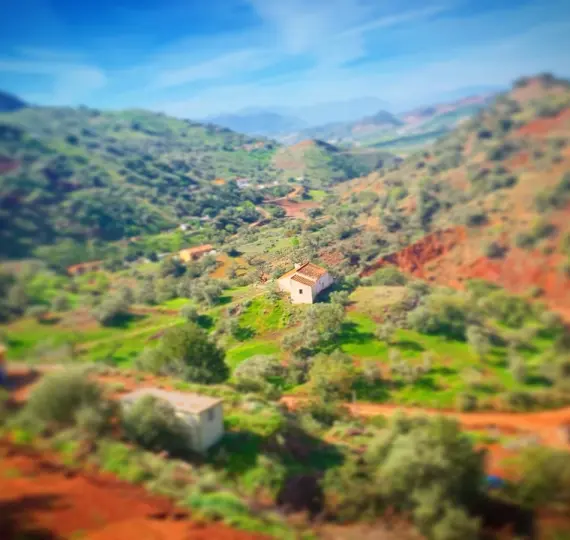 Жилой участок R4742068