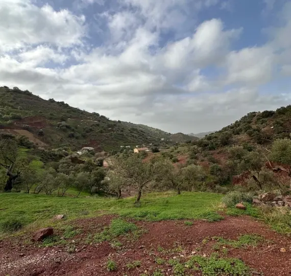 Жилой участок R4742068