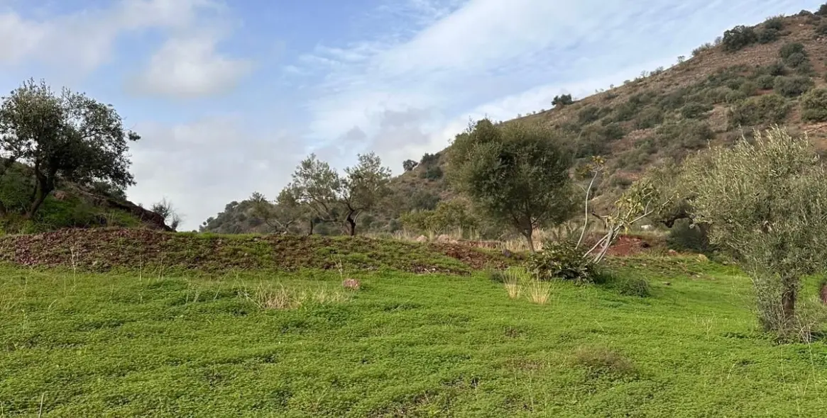 Продажа  жилого участка в Malaga (район Provincia de Málaga) 6