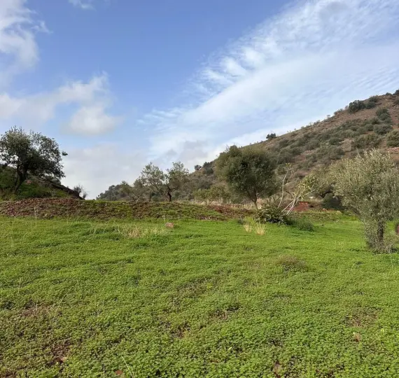 Жилой участок R4742068