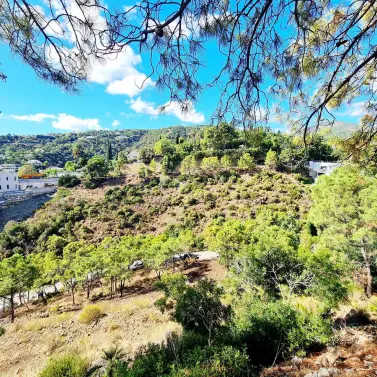 Venta de parcela residencial en El Madroñal