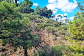 Image 6 thumb
