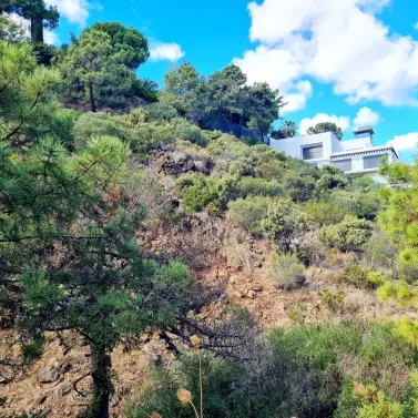 Venta de parcela residencial en El Madroñal