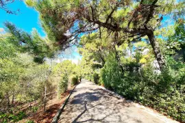 Image 7 thumb