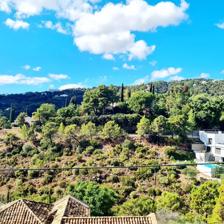 Sale of residential plot in El Madroñal