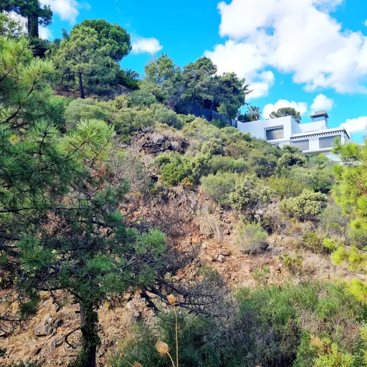 Sale of residential plot in El Madroñal