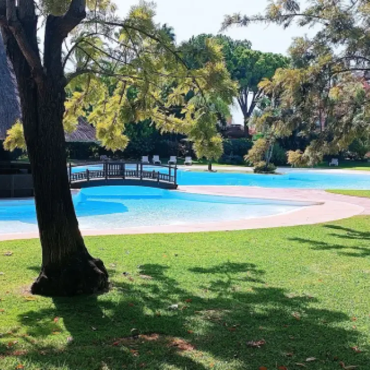 Venta de ático dúplex en Guadalmina Baja