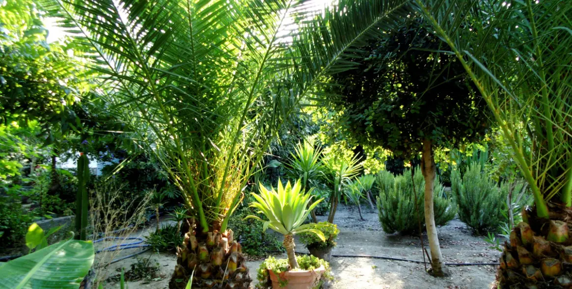 Продажа  отдельно стоящей виллы в Coín 3