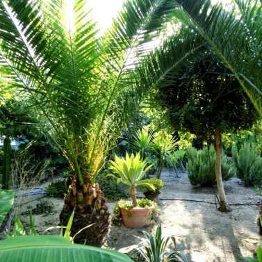 Venta de villa independiente en Coín