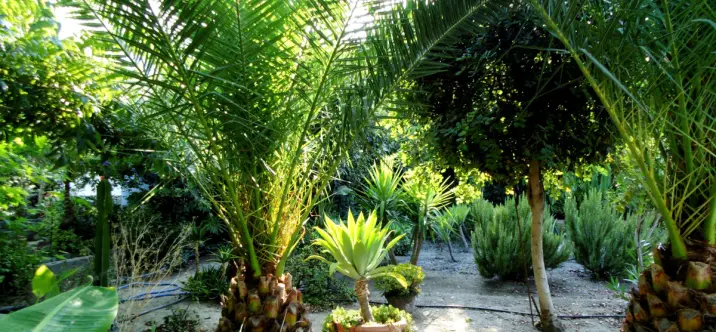 Venta de villa independiente en Coín 2