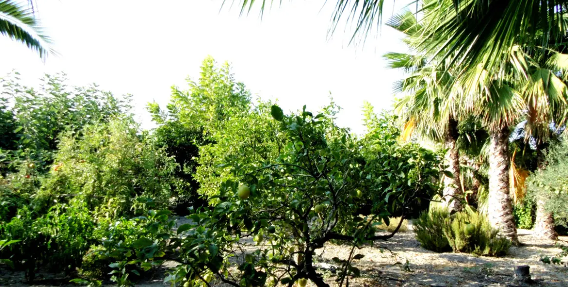 Продажа  отдельно стоящей виллы в Coín 29