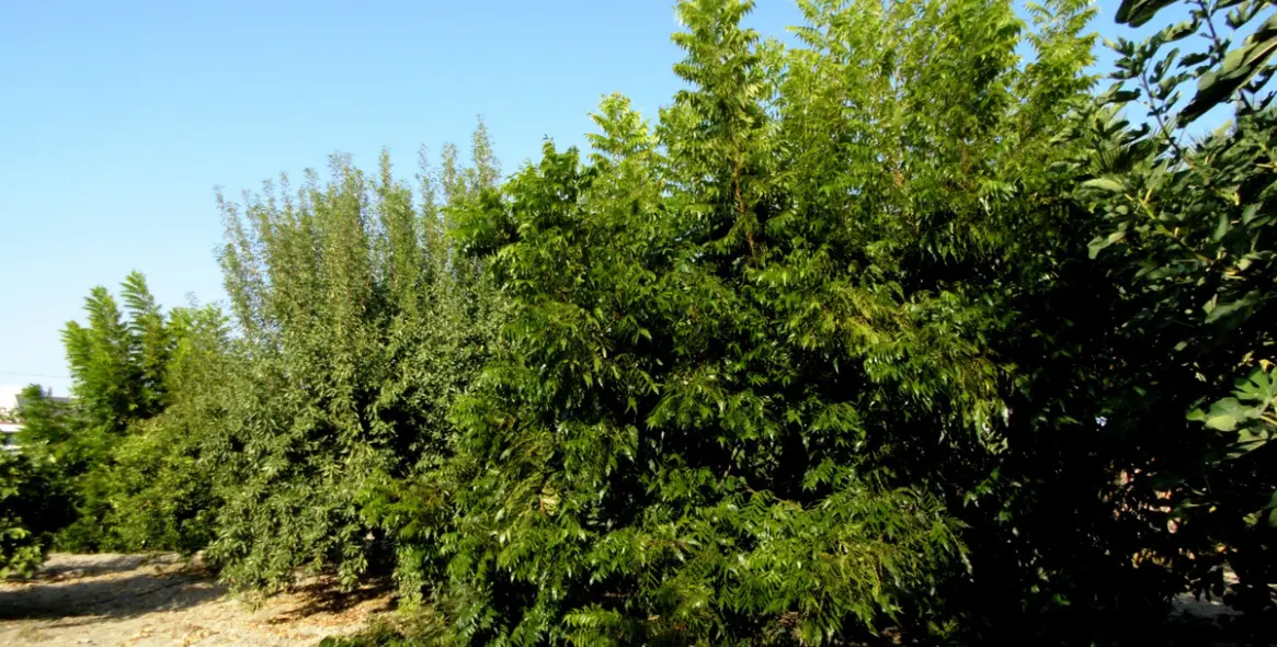 Продажа  отдельно стоящей виллы в Coín 30