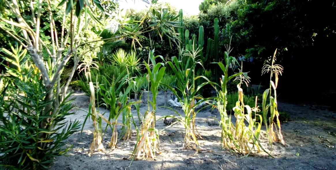 Продажа  отдельно стоящей виллы в Coín 33