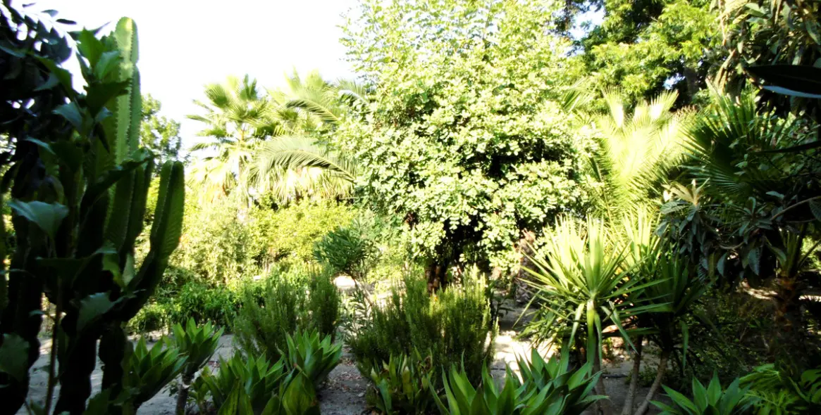 Продажа  отдельно стоящей виллы в Coín 40