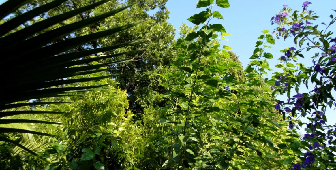 Продажа  отдельно стоящей виллы в Coín 41