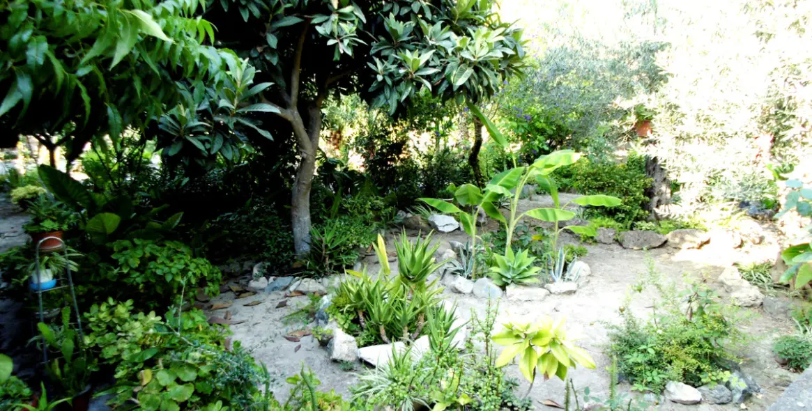 Продажа  отдельно стоящей виллы в Coín 42