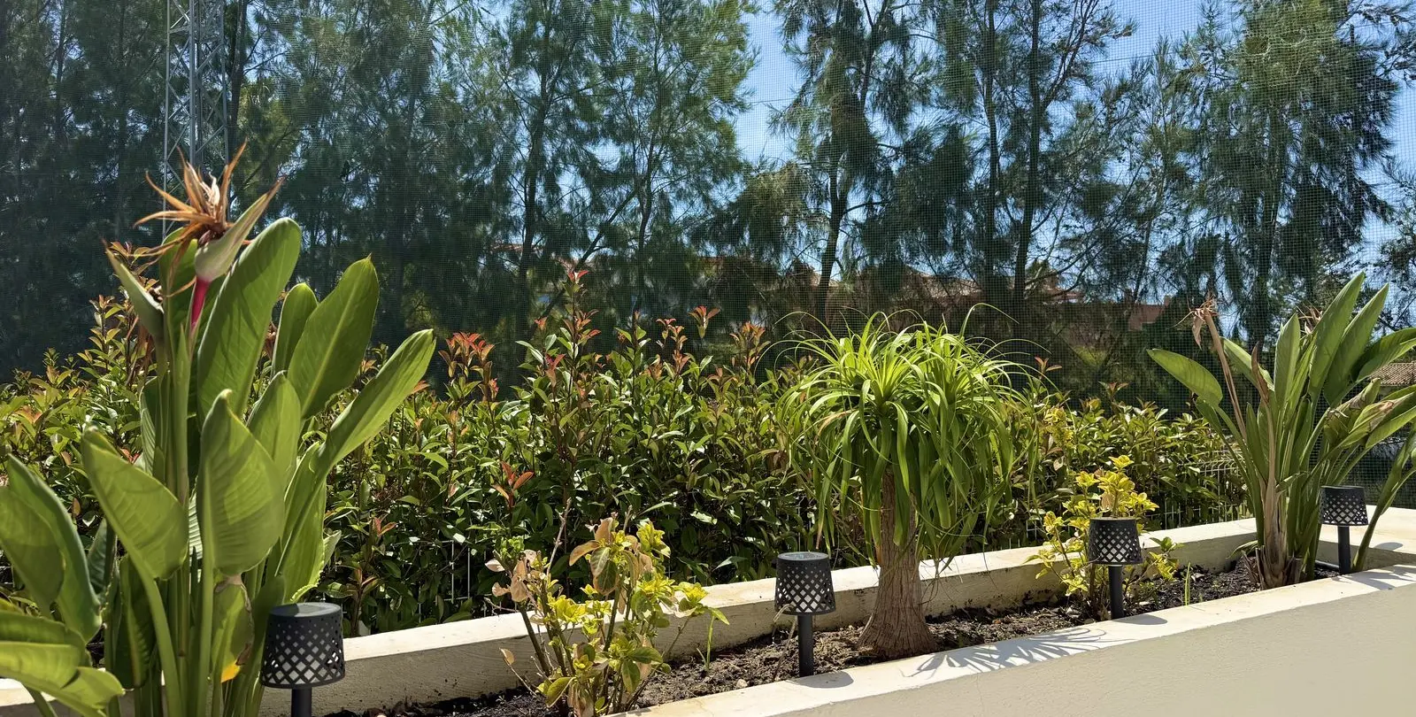 Sale of penthouse in Cabopino 35