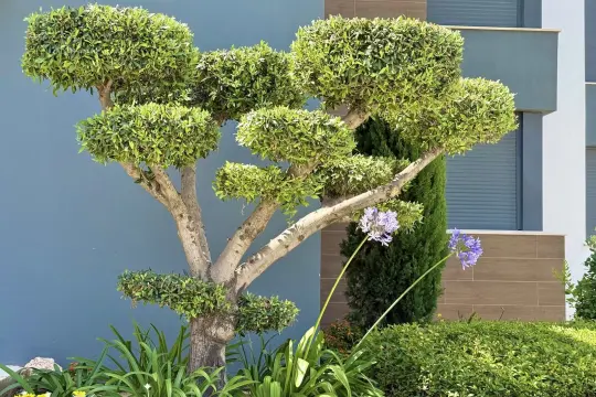 Image 58 thumb
