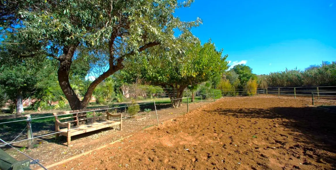 Sale of finca - cortijo in Estepona 2