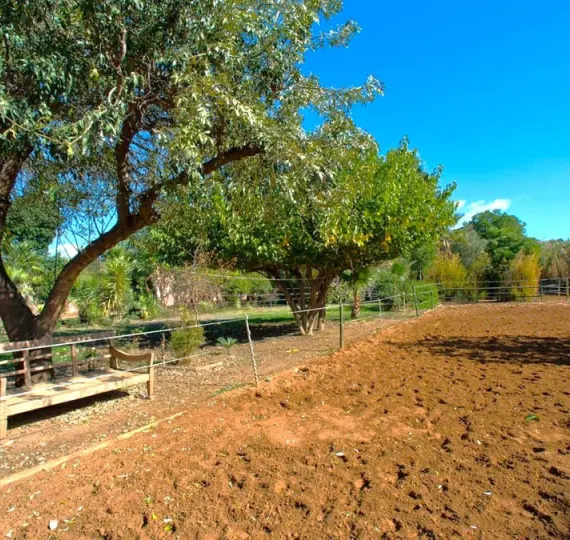 Продажа финки в Estepona
