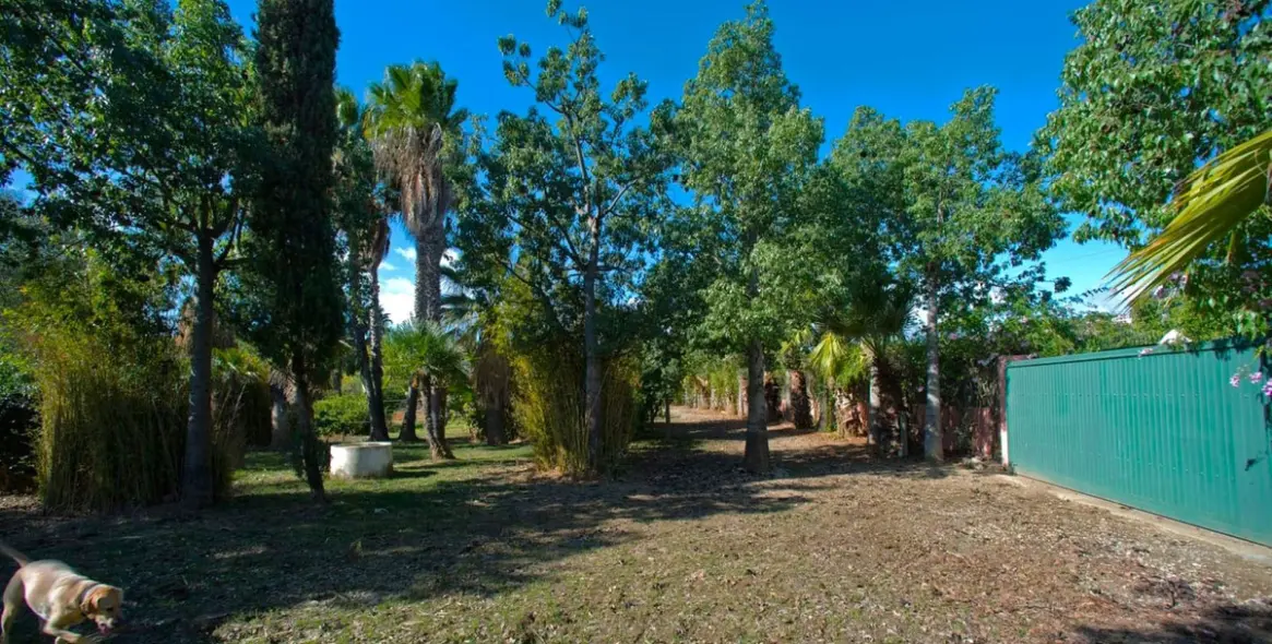 Sale of finca - cortijo in Estepona 6