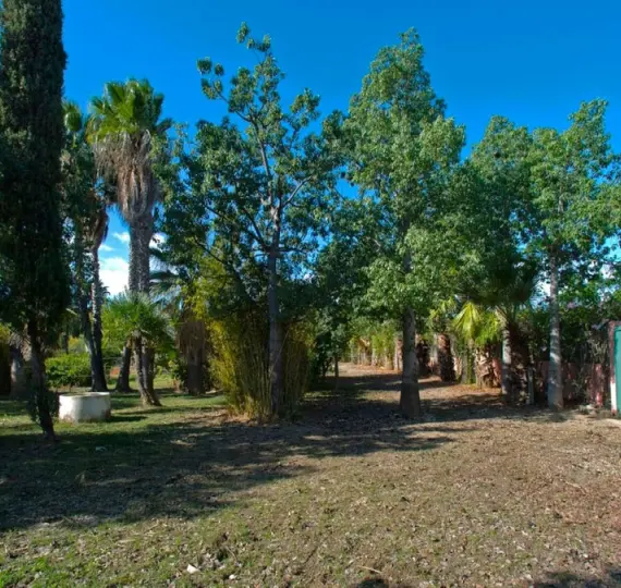 Продажа финки в Estepona