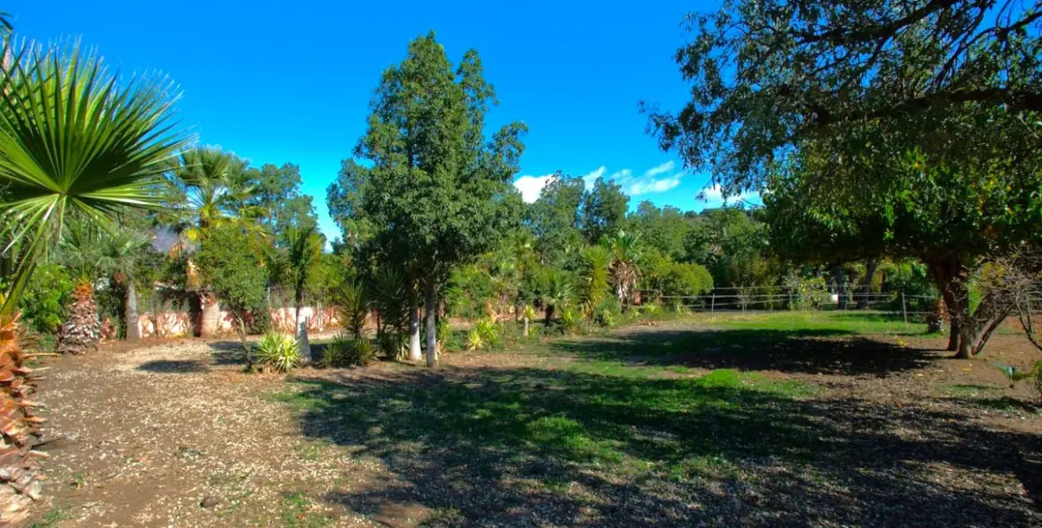 Sale of finca - cortijo in Estepona 15