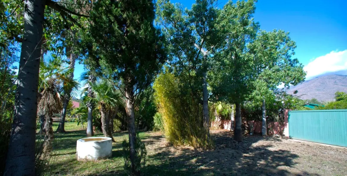 Sale of finca - cortijo in Estepona 16