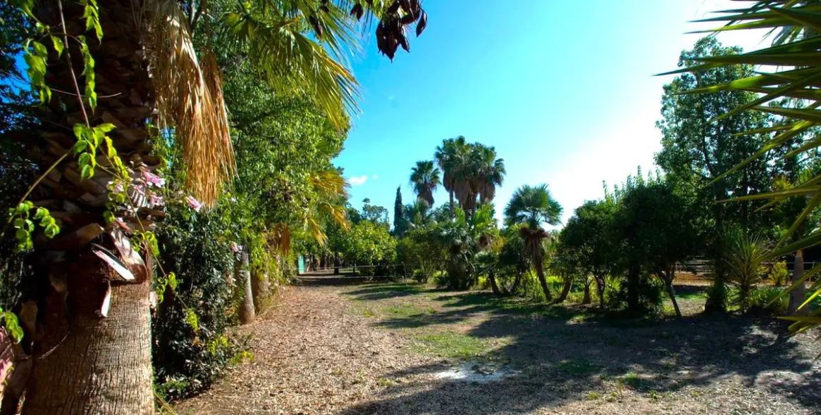 Продажа финки в Estepona 25