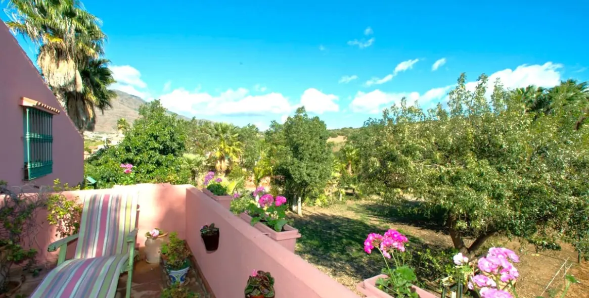 Продажа финки в Estepona 30