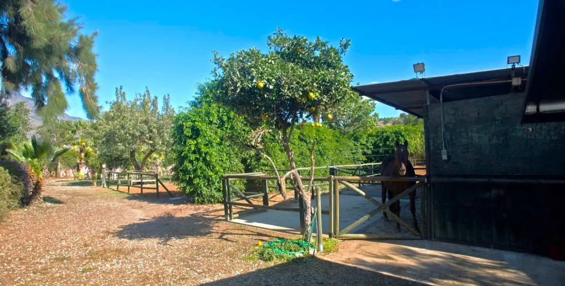 Продажа финки в Estepona 33