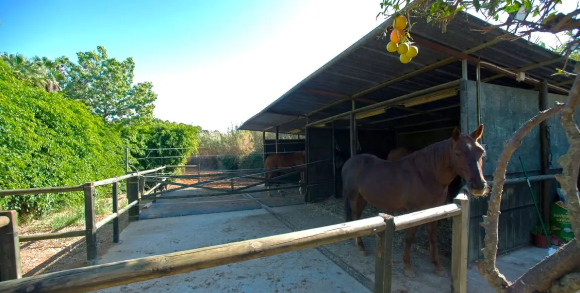 Продажа финки в Estepona 36