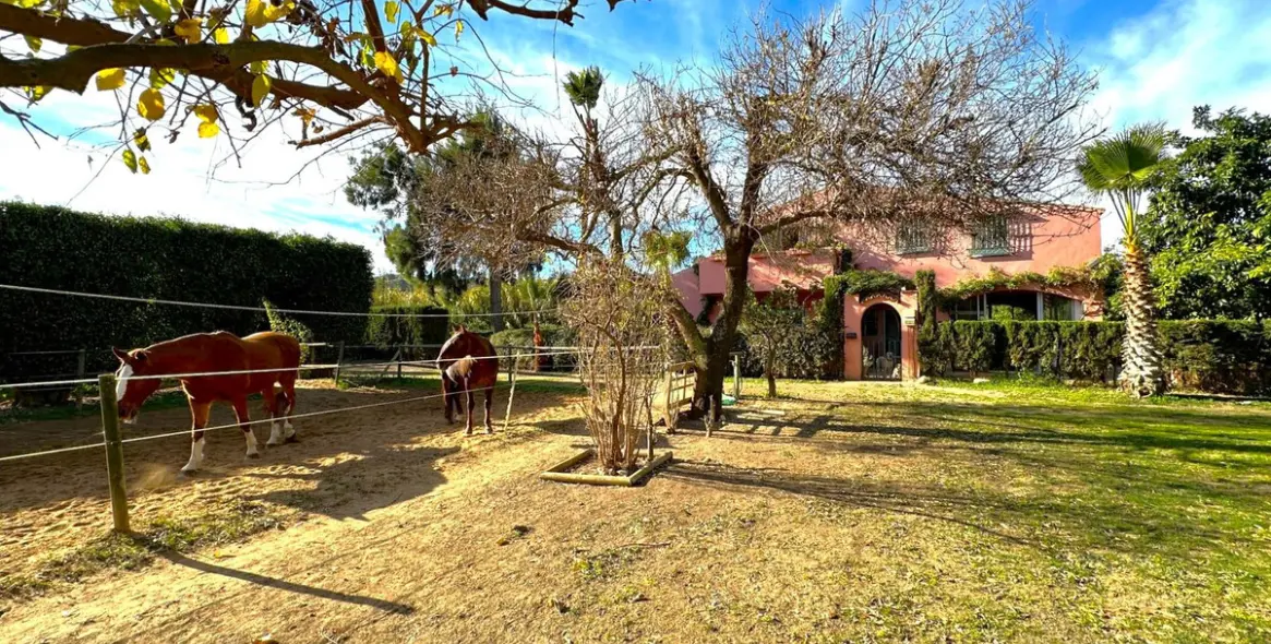 Продажа финки в Estepona 38