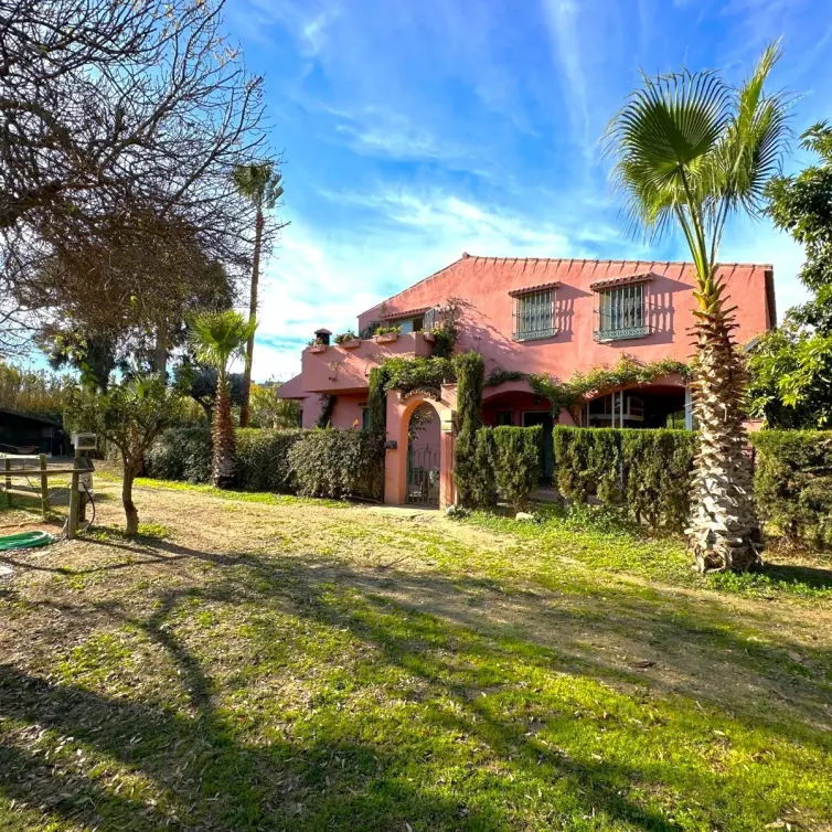 Sale of finca - cortijo in Estepona