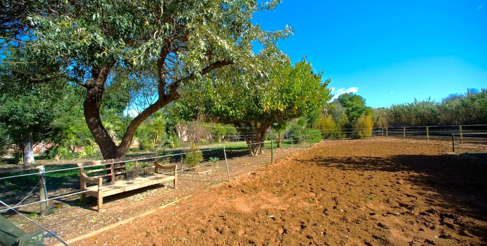 Venta de finca - cortijo en Estepona 2