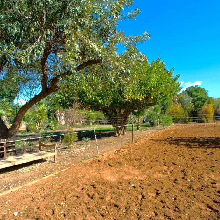 Sale of finca - cortijo in Estepona