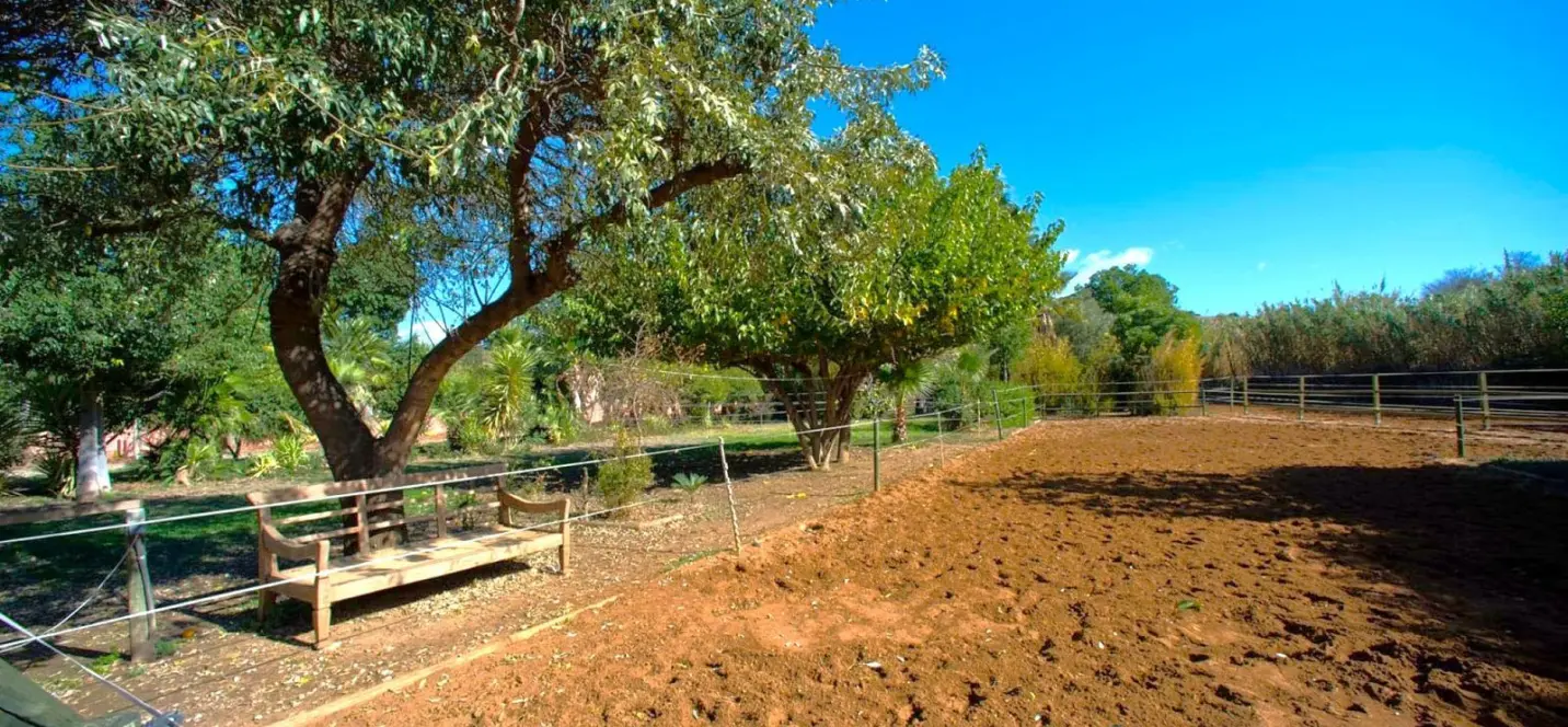 Sale of finca - cortijo in Estepona 1