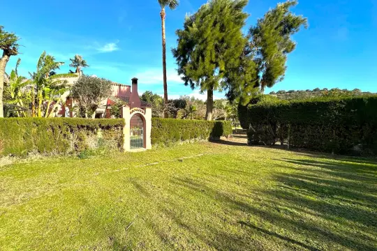 Image 5 thumb