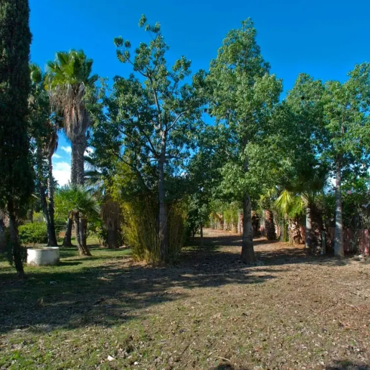 Sale of finca - cortijo in Estepona