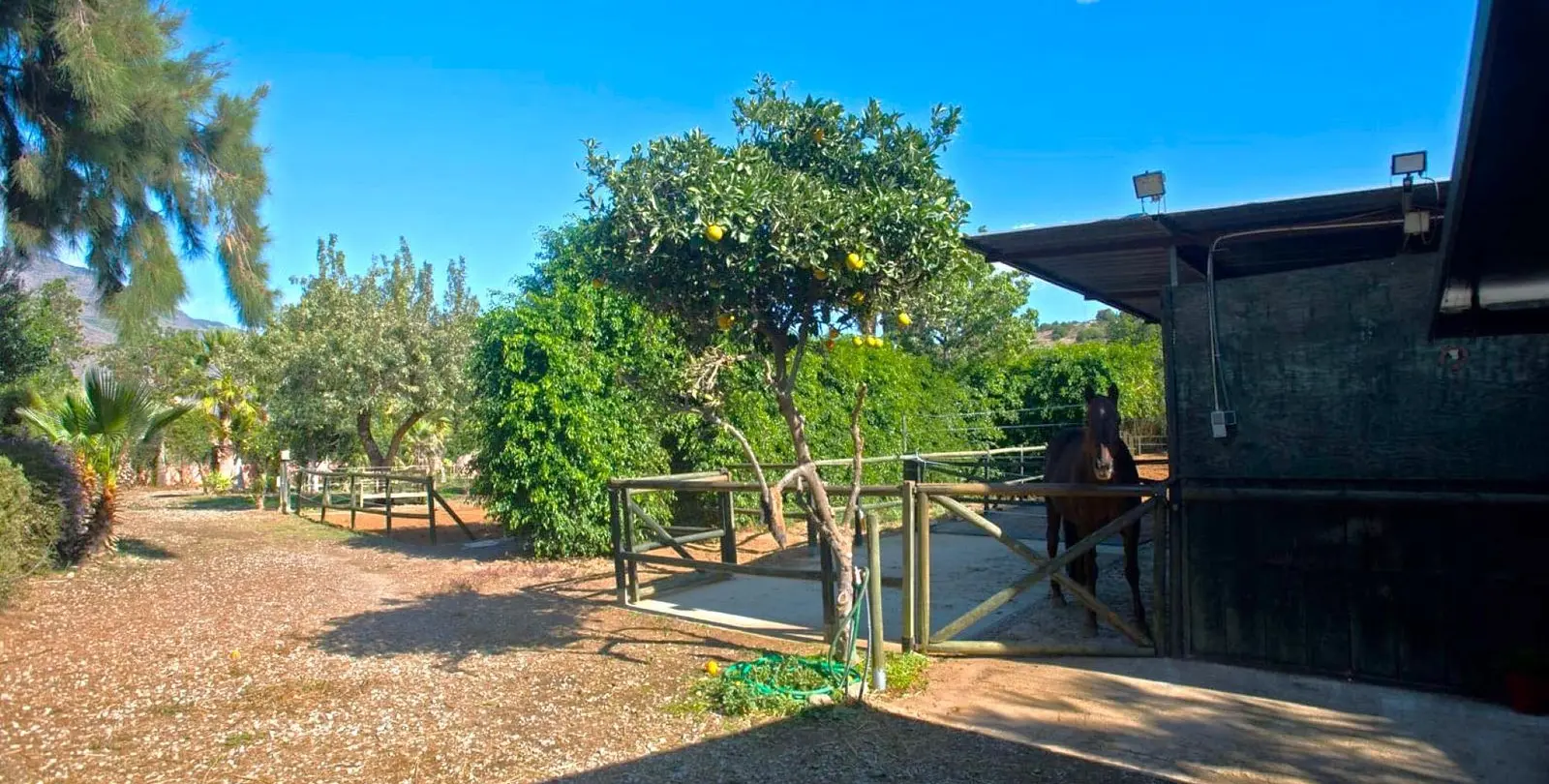 Venta de finca - cortijo en Estepona 33