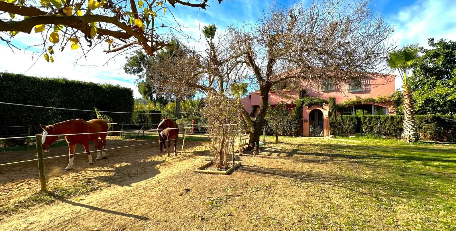 Venta de finca - cortijo en Estepona 38