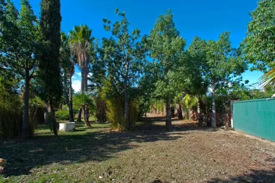 Image 6 thumb