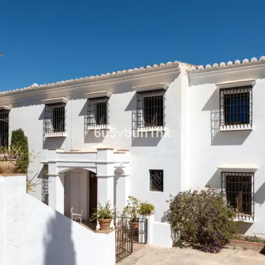 Sale of detached villa in Torrox