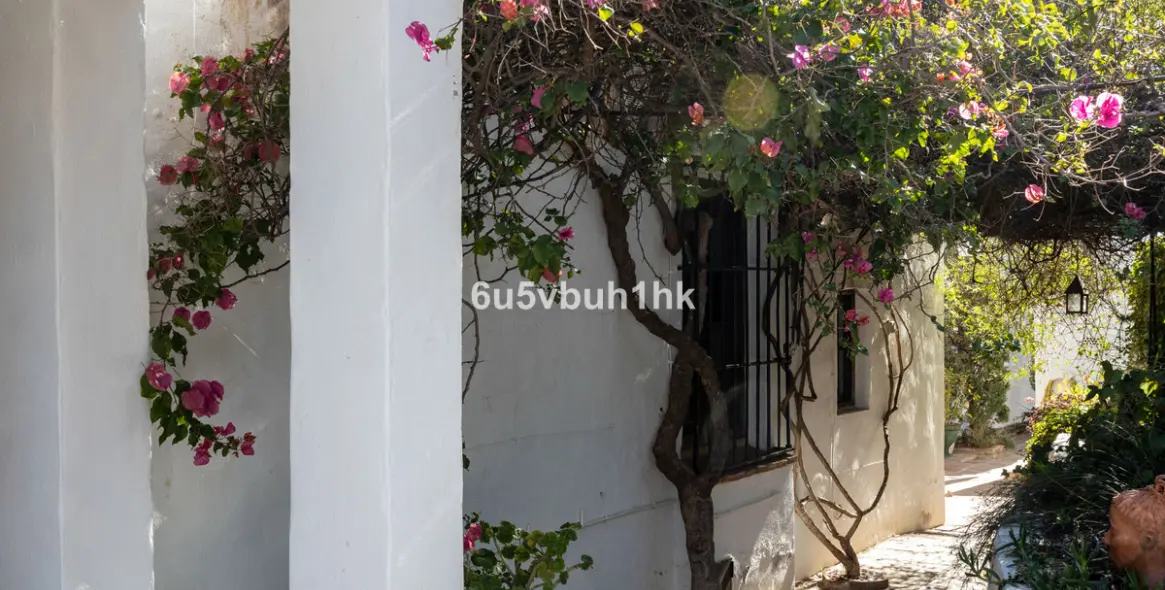 Продажа  отдельно стоящей виллы в Torrox 41