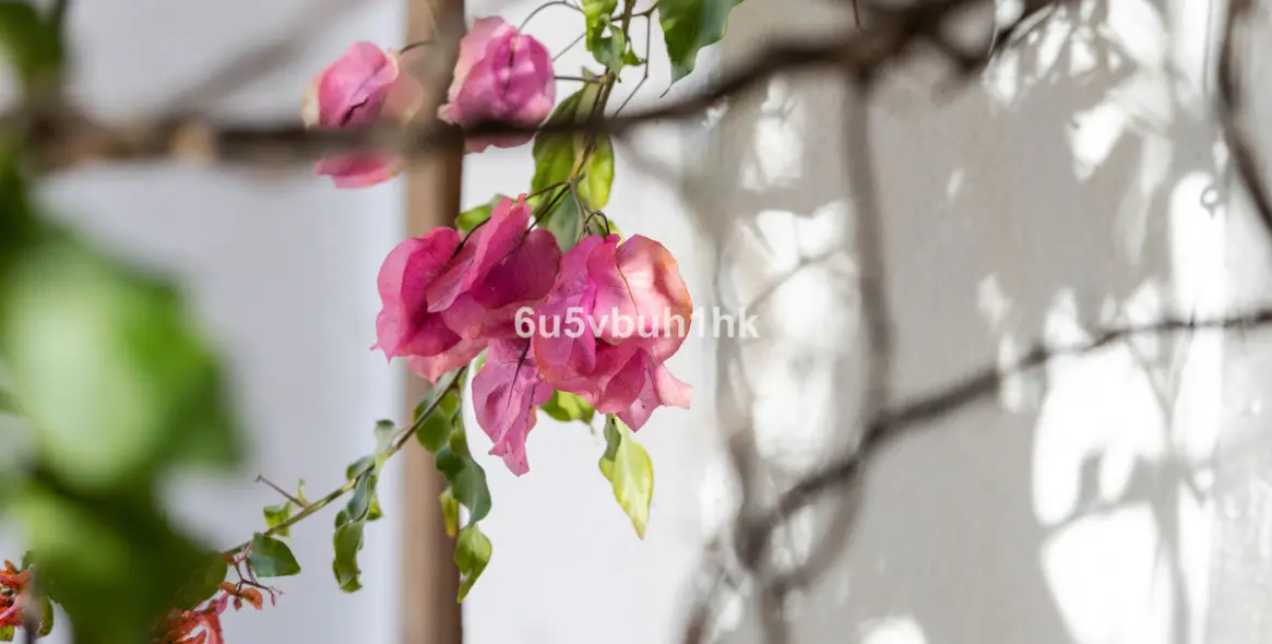 Продажа  отдельно стоящей виллы в Torrox 44