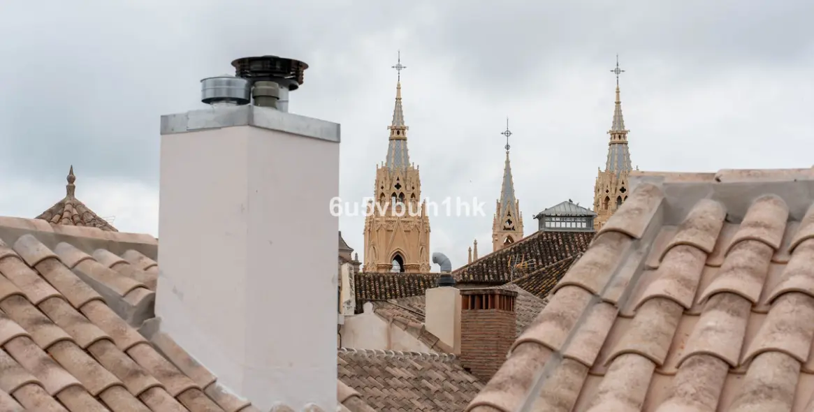 Sale of ground floor apartment in Malaga (district Málaga Centro) 9