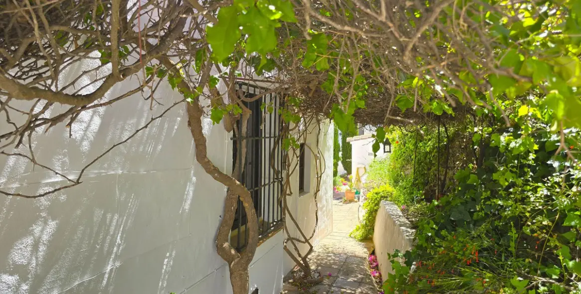 Продажа  отдельно стоящей виллы в Torrox 56